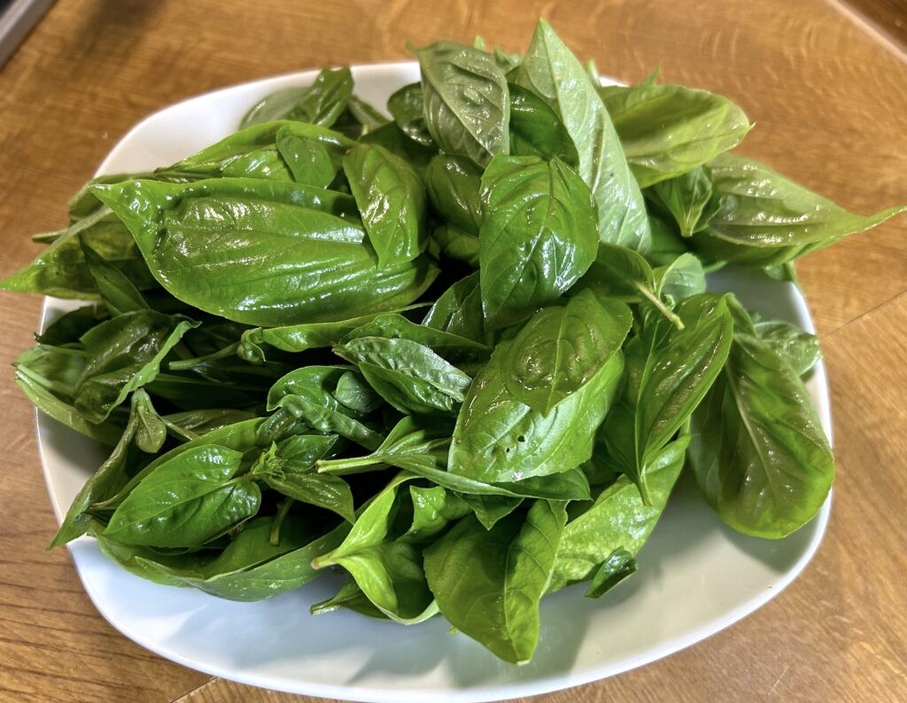 basil leaves