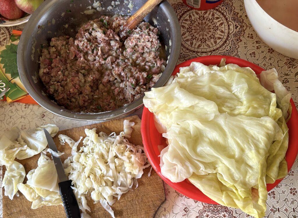 cabbage leaf and filling