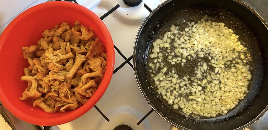 chanterelle mushrooms and onion