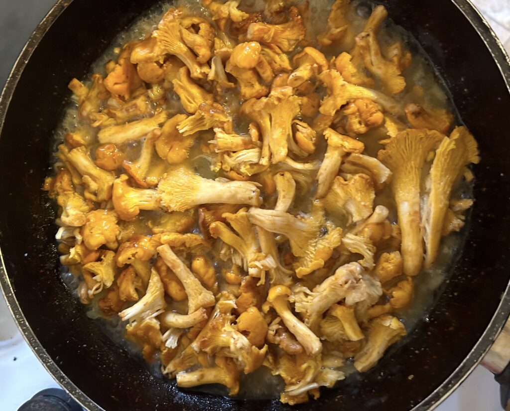 fry chanterelle