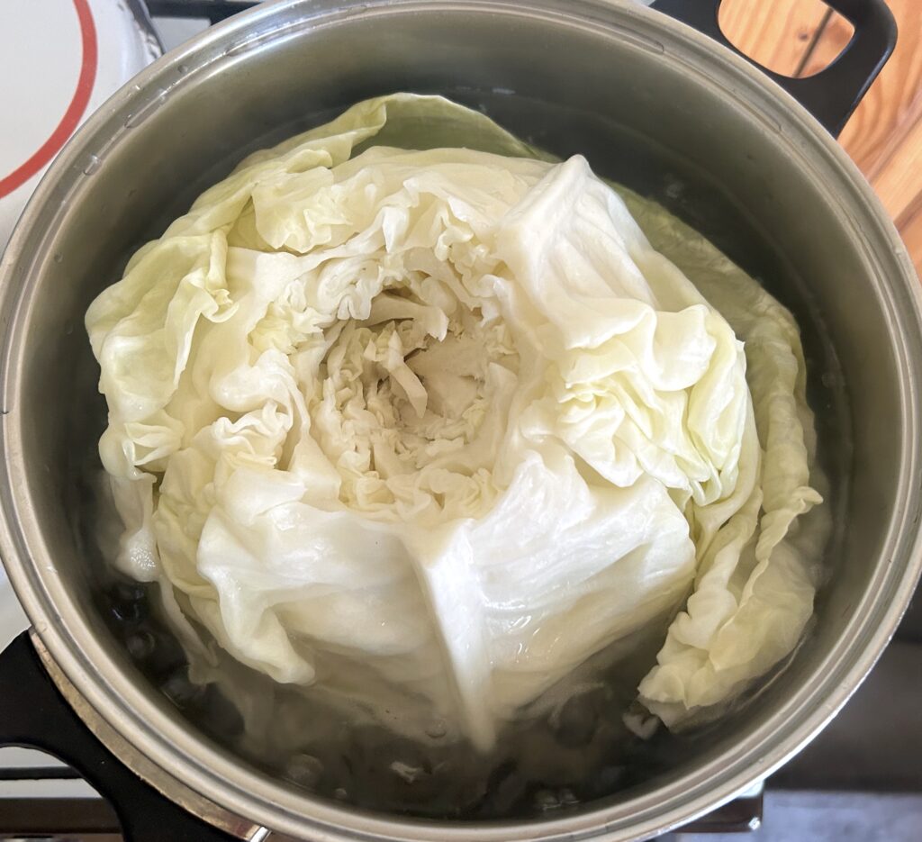 round cabbage