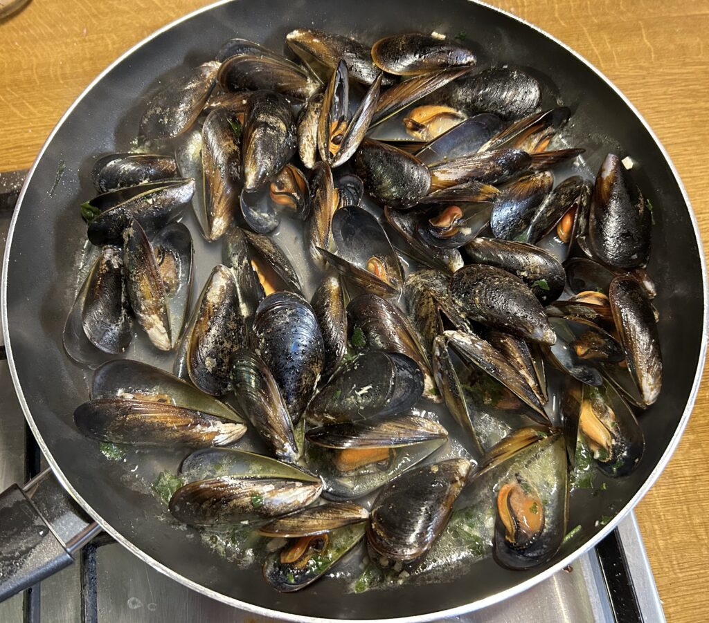 mussels open