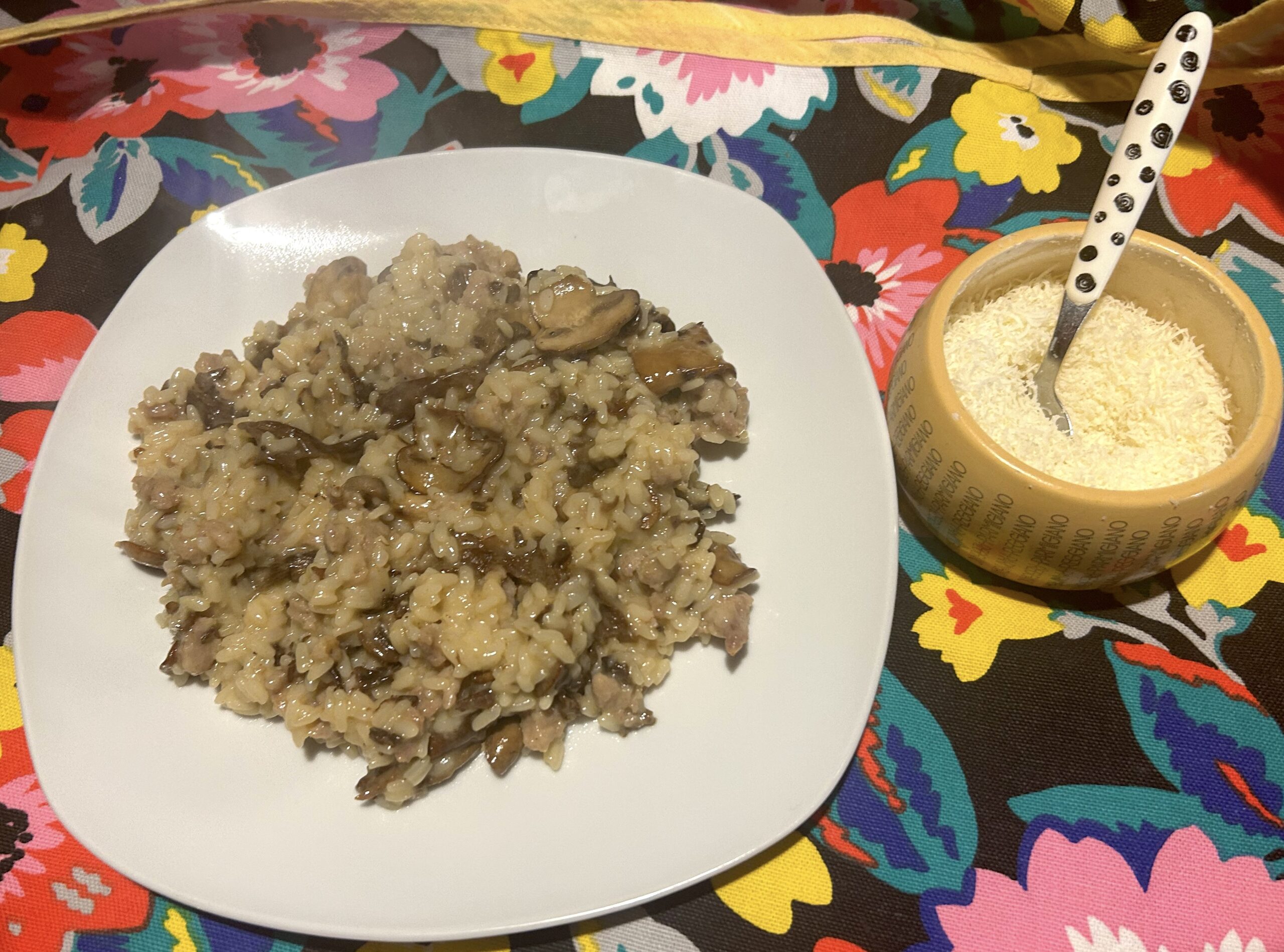 Risotto with porcini mushrooms and sausage