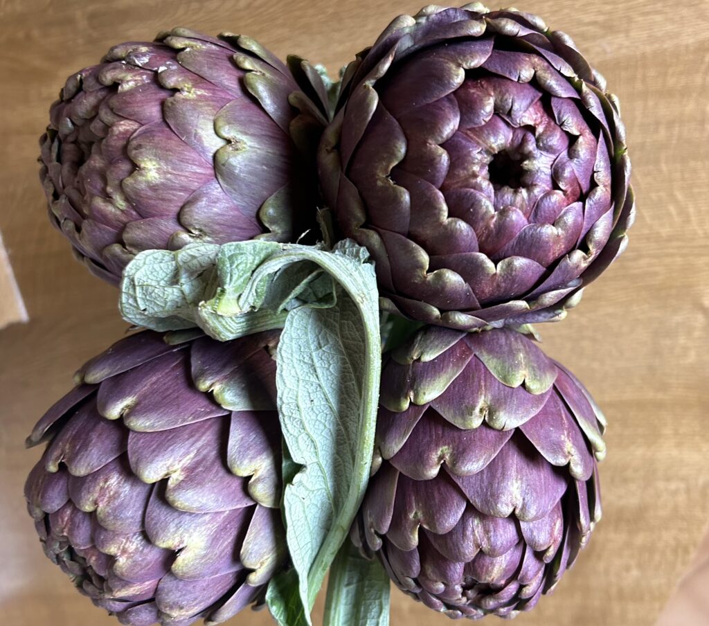 4 large artichokes