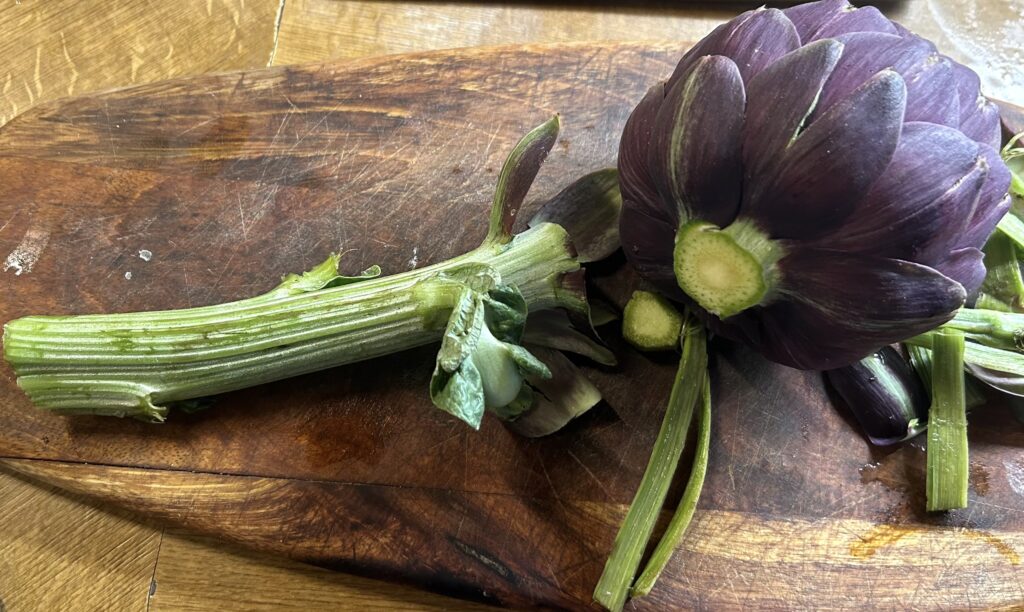 cutting the stems