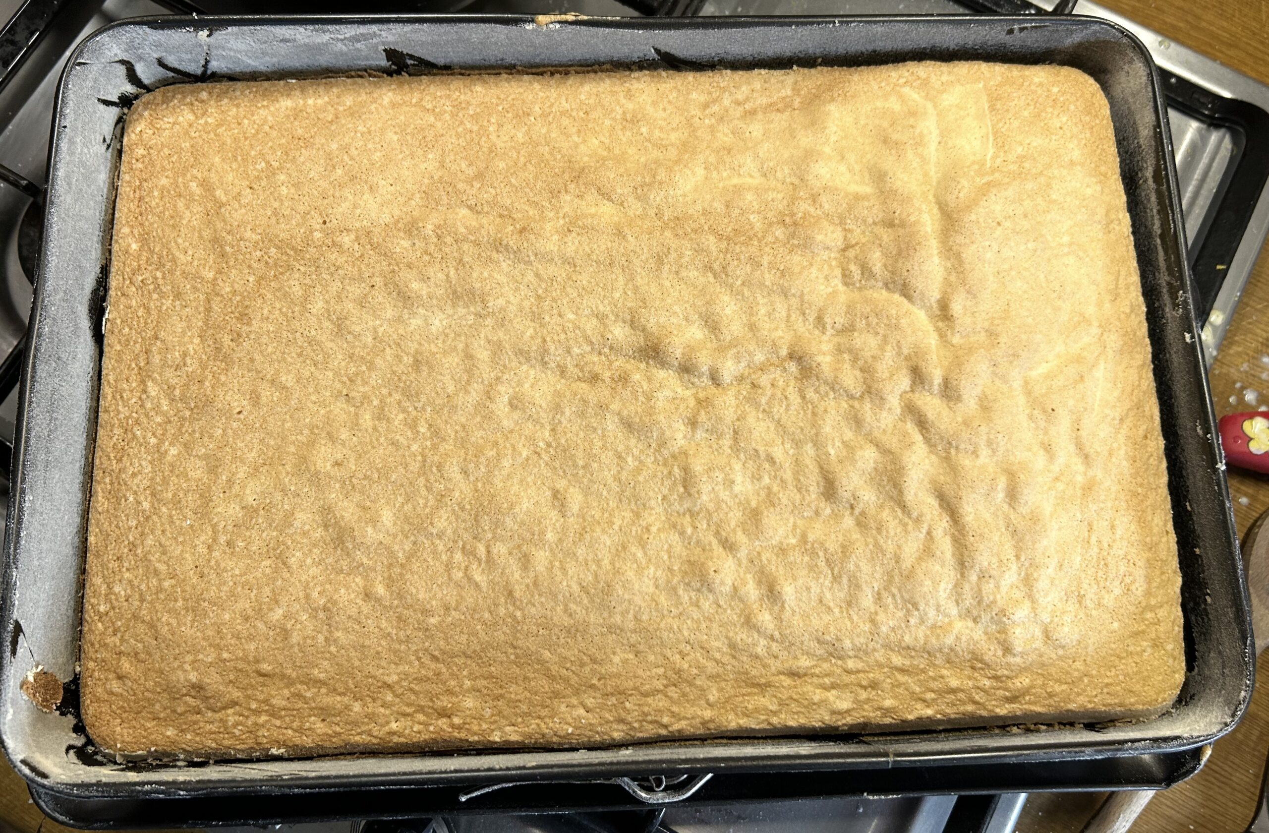 Sponge cake in a large pan