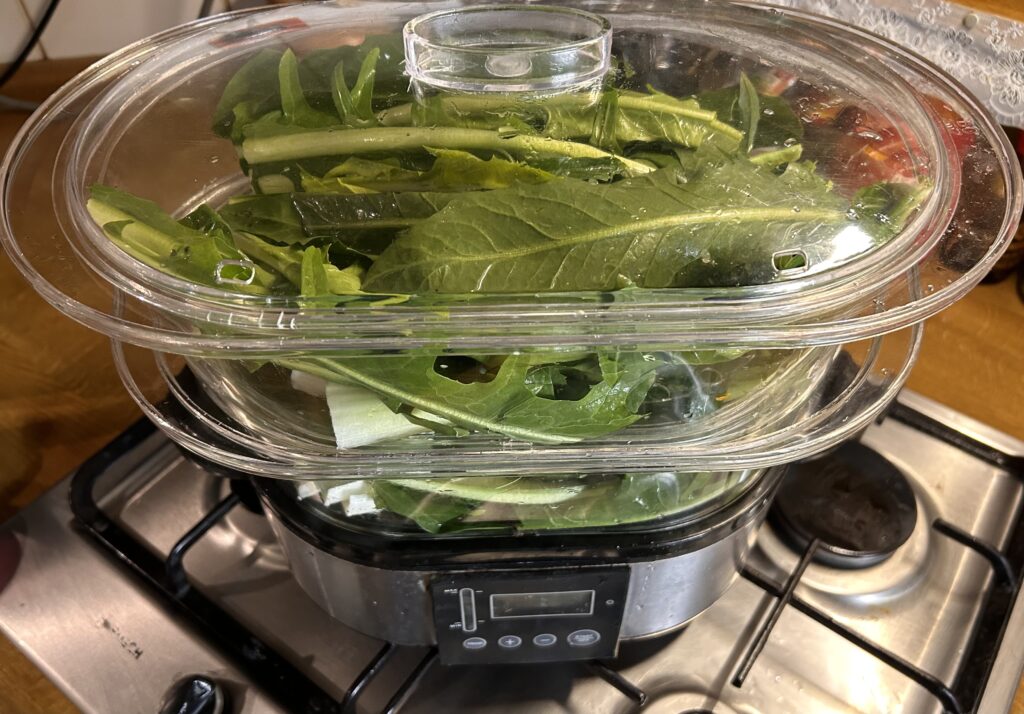 chicory in the steamer